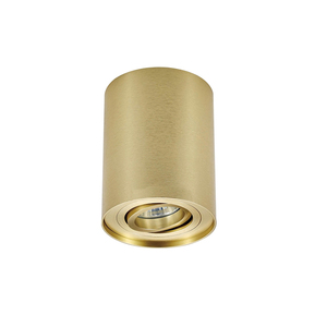 Trung quốc gia công chuyên nghiệp dịch vụ có thể điều chỉnh đèn downlight phụ kiện tuôn ra núi ánh sáng Trần - Product Image 5