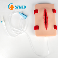 Módulo de Simulación de Trauma para Entrenamiento de Primeros Auxilios Yulin, Maniquí Anatómico para Prácticas de Hemostasia y Simulación de Heridas, con Certificación CE/ISO