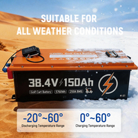 Batterie de chariot de golf LiFePO4 38,4 V 150 Ah en promotion D0100XU4MBG, durée de vie supérieure à 4000 cycles, batterie au lithium fer phosphate pour chariot de golf