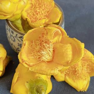 Té de Flor de Camelia Nitidissima Dorada de Primera Calidad, Té de Hojas Sueltas Secas Naturales, Venta al por Mayor en Bolsas y Cajas - Product Image 4