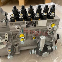 Fuel Injection Pump Assembly 1001830368 for Weichai WP12 WP13 Engine