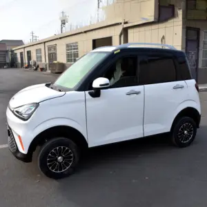 Shandong Factory's New Mini Electric EV Car 4-Wheel Drive For Adults For Elderly Low Speed Commercial Use