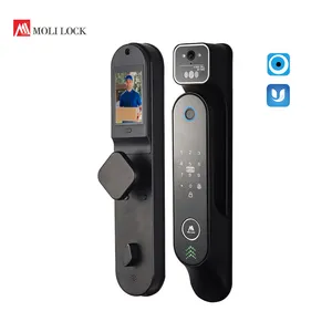 Tuya APP riconoscimento facciale con fotocamera con chiavi di sicurezza serratura digitale elettrica Smart Lock con APP Usmart Go