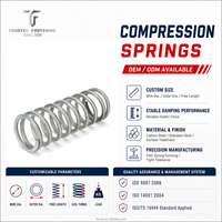 Ressort de compression en spirale en acier au carbone de haute qualité TianFang avec bobines, ressort hélicoïdal, ressort en forme de spirale, ressort personnalisé