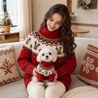 Ensemble de pulls personnalisés ODM OEM en gros pour Noël, col roulé, assortis pour animaux de compagnie et propriétaires, motif renne et bonhomme de neige