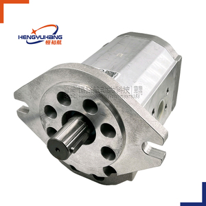 Pompe à engrenages SETTIMA G72V175FSDACMED G72V125 G72V101 pompe à huile GR28 <span class=keywords><strong>GR33</strong></span> GR38 GR47 GR55 pompes servo hydrauliques GR72 pompe à vis - Product Image 1
