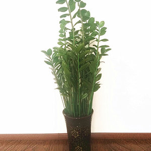 Marco de soporte para plantas de orquídeas, enrejados para plantas, soporte de escalada, maceta para flores, enredadera - Product Image 3