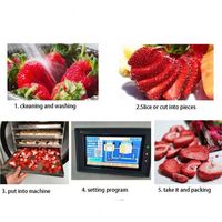 Lyophilisateur de table sous vide réfrigéré séchage de bonbons petite maison mini machine équipement de congélation pour lyophilisateur alimentaire
