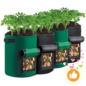 10 갤런 사용자 정의 도매 아마존 뜨거운 판매자 생분해 성 정원 감자 꽃 야채 식물 펠트 성장 가방