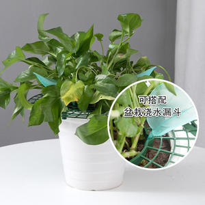 Strawberry Plant Stand est un <span class=keywords><strong>support</strong></span> horticole végétal utilisé pour grimper aux vignes et protéger les fruits - Product Image 3