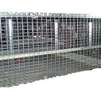 Prix d'usine galvanisé fer treillis métallique poulailler automatique ferme Cage couche poulets soudé en acier forme de trou carré clôture