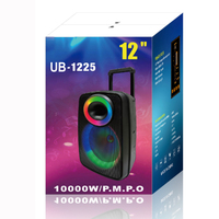 Karaoké extérieur, microphone sans fil 12 pouces, 20W RGB pour système audio Hi-Fi 5.0, double microphone, batterie 3600mAh, télécommande