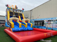 Tobogán Acuático Comercial, Casa de Rebote Grande y Barato, Salto Hinchable, Castillo, Tobogán de Agua Inflable para Niños y Adultos
