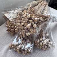 Bunga Poppy Jagung Kering yang Diwarnai, Batang Bunga Terawetkan untuk Dekorasi Botani DIY, Rangkaian Bunga Pernikahan, dan Dekorasi Rumah