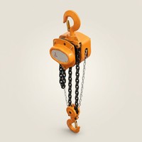 Vente en gros d'usine : Treuil à bracelet et palans à chaîne manuels