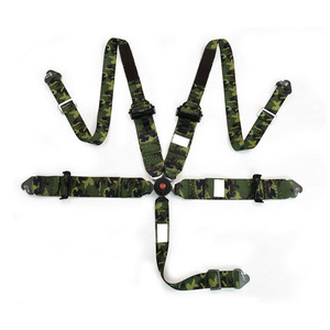 Warna-warni <span class=keywords><strong>5</strong></span> poin sabuk pengaman harnes kursi balap dapat disesuaikan 3 inci ISO/TS16949 poliester CCC, ECE R16 OEM, ODM - Product Image 1