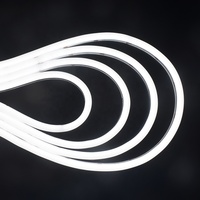 Bande lumineuse LED néon flexible en silicone ultra-mince de petite taille, vue de dessus, 5*5mm, DC24V, 322leds/m, SMD2216, PCB flexible de 4mm, bande lumineuse LED néon