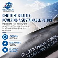 Câble souple en caoutchouc à âme unique en cuivre étamé pour batterie CC 16, 25, 35, 50 mm pour système solaire photovoltaïque domestique
