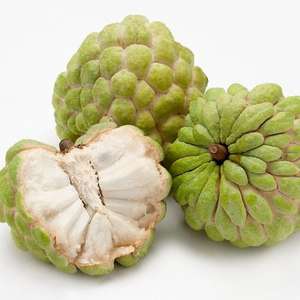 مستخلص نبات شيريمويا جونابانا, مستخلص من أوراق الشورسوب ، مسحوق مستخلص فواكه انونا موريكاتا - Product Image 3