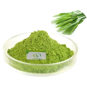 Haccp New product Food Grade natural green barley grass juice powder