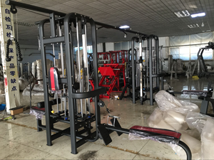Peralatan olahraga dalam ruangan, mesin Gym <span class=keywords><strong>Multi</strong></span> fungsi hutan <span class=keywords><strong>8</strong></span> stasiun XR9951 - Product Image 6