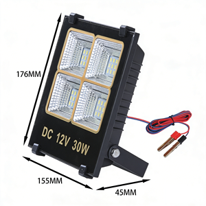 Most Popular 30W <b>Small</b> Household Garden Lighting Energy Saving DC12V LED Flood <b>Light</b> IP66 Rated Touch Control Dimmable - Product Image 4