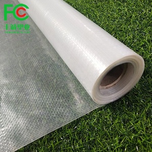 Film blanc transparent, feuille de couverture <span class=keywords><strong>pour</strong></span> <span class=keywords><strong>serre</strong></span>, en plastique hdpe renforcé, anti-uv, 1 pièce - Product Image 3