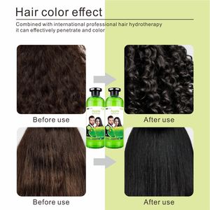 白髪100%カバー 250ML アンモニアフリー アップルビネガー染毛ジェル 永久黒色 ハーブエキス配合 フルーツの香り - Product Image 5