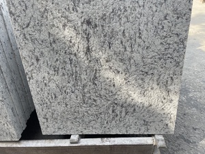 Белая Роза галактика Гранит Открытый натуральный камень Vizag плитка - Product Image 5