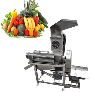 Stainless Steel Industrial Fruit Apple Watermelon Mango Pineapple Juice Screw Crusher Juicer Extractor Machine