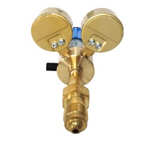 Cylindre d'admission arrière robuste pour gaz (Hélium, Oxygène, Azote, Argon, Air) à simple étage, avec bonnet en laiton réglable par ressort, haute performance