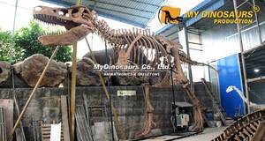 Modelo de Esqueleto de Dinosaurio T-Rex de <span class=keywords><strong>Jurassic</strong></span> <span class=keywords><strong>World</strong></span>, Tamaño Grande, My Dino FDS015 - Product Image 6