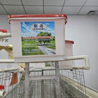 Cage à poules pondeuses en fil de fer galvanisé à chaud, capacité 96-160 oiseaux, pour l'élevage de poules pondeuses en ferme avicole
