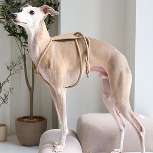 Nouveau design harnais réglable en nylon léger sans traction pour chien harnais pour chien en cuir essentiel pour la marche - Product Image 6