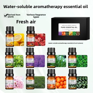Ensemble d'huiles essentielles 10 ml pour usage intérieur/voiture/chambre - Aromathérapie, humidificateur, assainissement et purification de l'air, parfum longue durée - Product Image 3