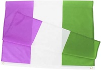 Impression personnalisée 100% polyester LGBTQ Transgender Symbol Pride Flag avec deux œillets