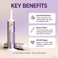 Pâte multivitaminée pour animaux de compagnie OEM ODM pour chiens et chats, complément vitaminique et minéral, 120g, formule personnalisée à étiquette privée