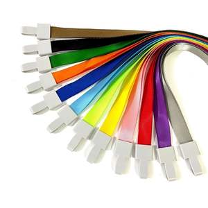 حبل تعليق للرقبة مخصص من البوليستر الصديق للبيئة مع طباعة حريرية وشعار مخصص وحامل بطاقة هوية بخطاف - Product Image 2