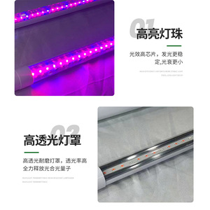 <span class=keywords><strong>Tube</strong></span> LED <span class=keywords><strong>T8</strong></span> en aluminium étanche IP65 à spectre complet <span class=keywords><strong>pour</strong></span> la culture de semis, la culture tissulaire et les serres de légumes - Product Image 4