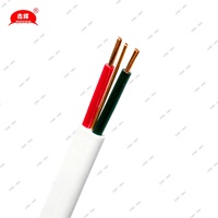 Câble plat BVVB à âme en cuivre, isolation PVC solide, pour grossistes électriques, 450/750V, 2.5mm, 4mm, 6mm, 10mm, 16mm