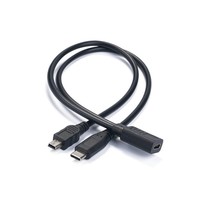 Cable Divisor USB C 2 en 1, USB C Hembra a Doble Macho, Cable de Carga de 30 cm para Dispositivos de Bajo Consumo, Se Aceptan Personalizaciones