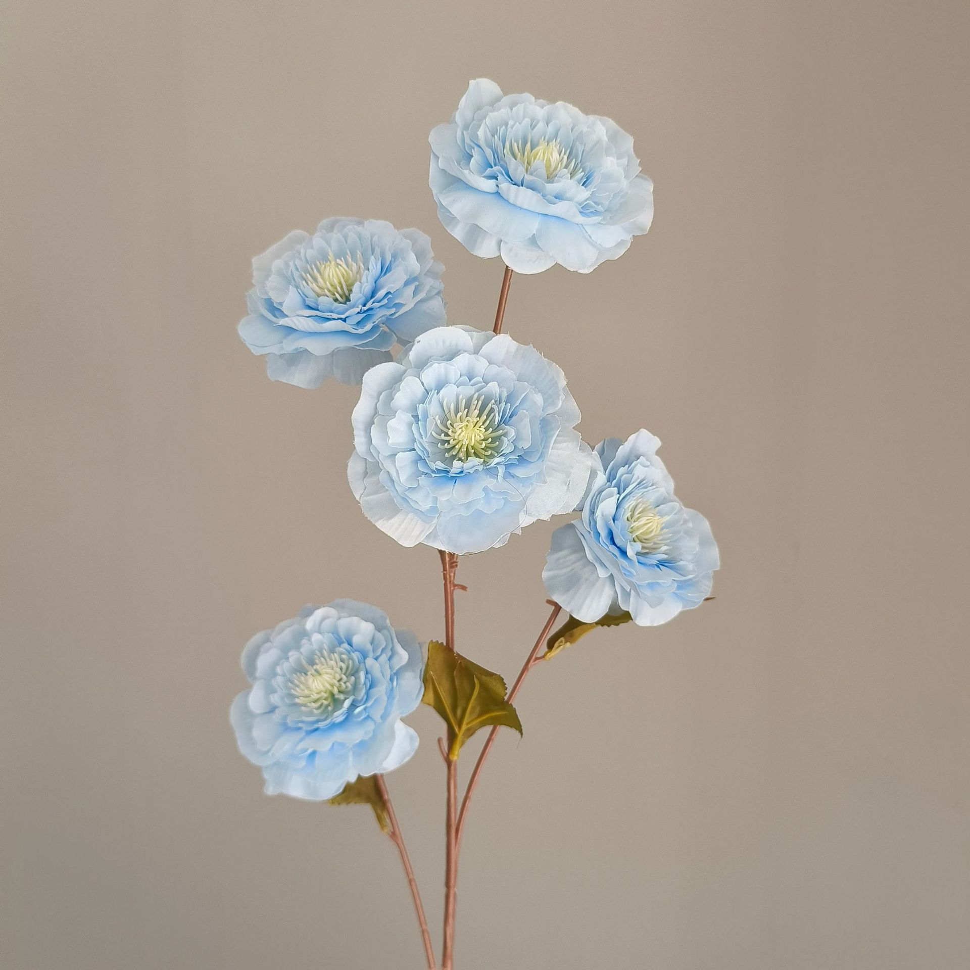 5#
