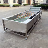 Vbjx Surfen Rambutan Mango Broodvrucht Fruit Groen Blad Groente Reiniger Wasmachine Droger Met Reinigingswasmachine