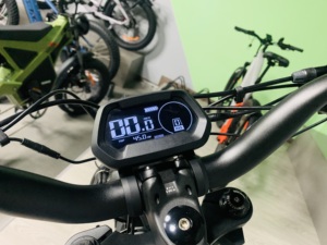 2024 Roadsan V20 <strong>Ebike</strong> for Adults 24inch Fat Tyre 48V 15AH/20AH Lithium Battery Dual Disc Brake System - Product Image 3