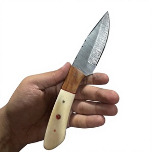 Cuchillos Rajput de Hoja Fija con Punta Caída, Acero de Damasco, Mango de Madera Pakka Azul, Garantía de 3 Años - Personalizable para Caza - Product Image 2