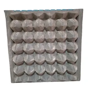 Low-cost Customized Egg Tray Molds As Per Client's Sample