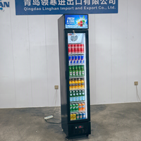 Réfrigérateur vertical compact en acier inoxydable pour boissons, idéal pour les magasins de détail et les supérettes