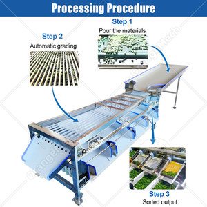 Máquina Clasificadora de Dátiles ORME, Máquina Procesadora de Frutas, Máquina Pequeña para Limpiar y Clasificar Naranjas y Tomates - Product Image 3