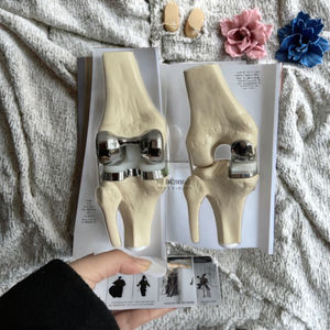 Nuevo modelo de implante de rodilla doble pequeña artificial desmontable 2025, conjunto de maniquí de PVC de alta calidad para prótesis de rodilla - Product Image 6