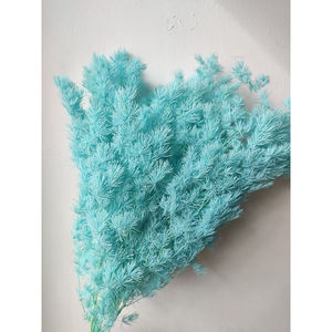 Fermoirs séchés en parapente couleur blanche, 1 pièce, vente en gros d'usine - Product Image 4